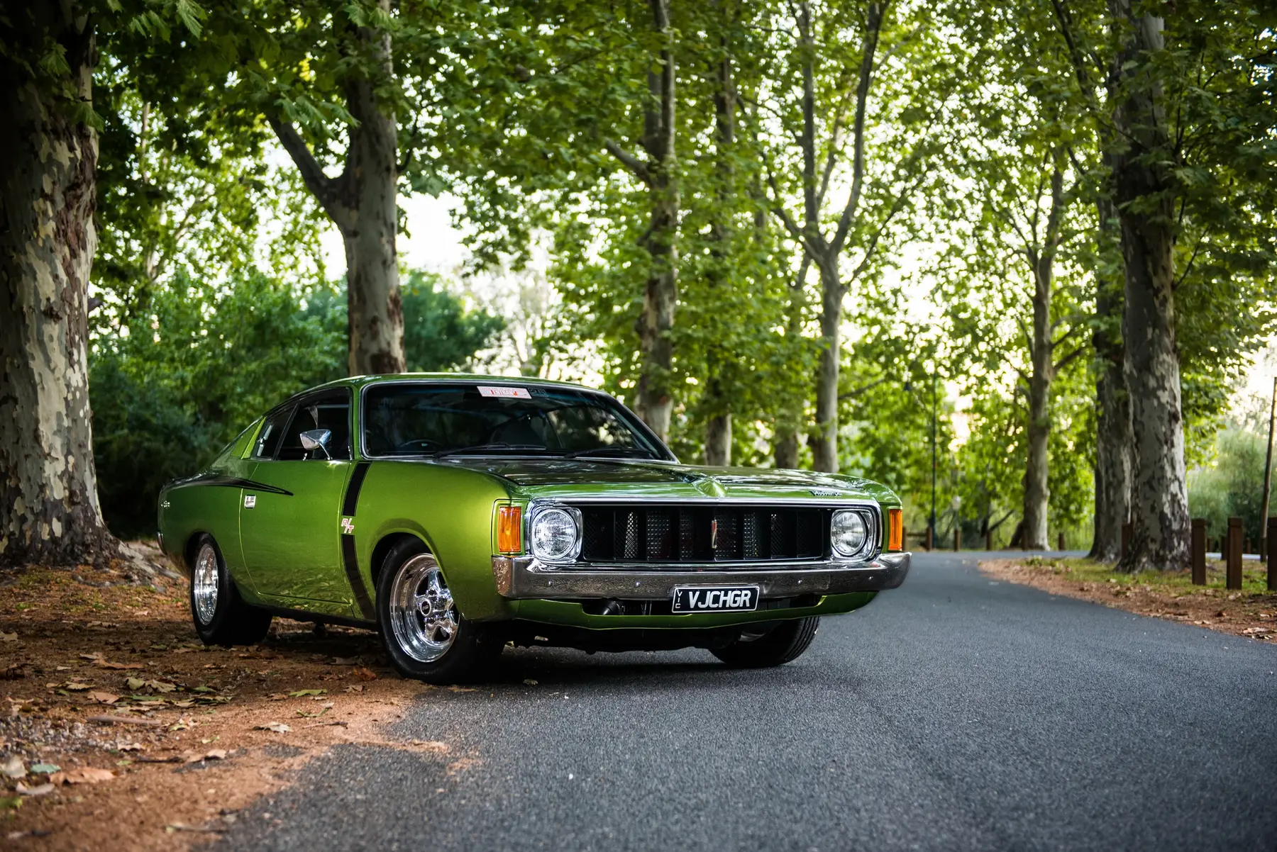 Green Australian muscle car photographed beneath large trees